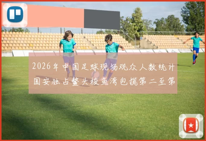 2026年中国足球现场观众人数统计国安独占鳌头梭鱼湾包揽第二至第七位